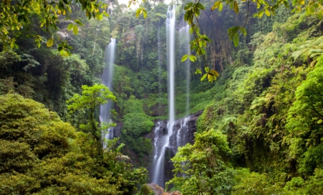 Sekumpul waterfall 