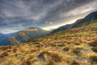 Arthurs Pass3