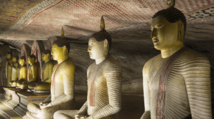 Ancient Buddha Statues in Dambulla Cave Temple