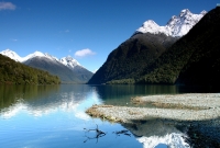 Fiordland1