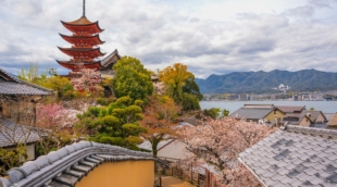 Miyajima Island, Hiroshima