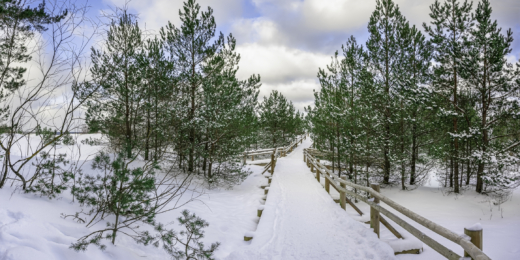 jurmala ziema