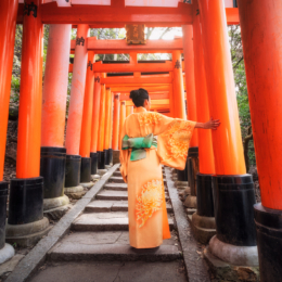 Fushimi Inari Taisha torii