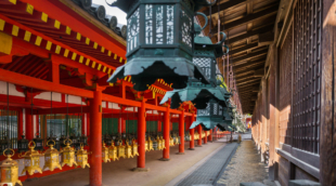 Kasuga Taisha zibintai