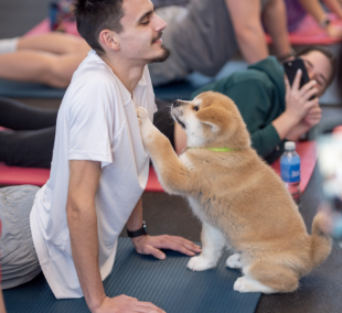 puppy yoga joga su suniukais