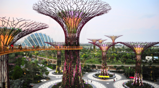 Gardens by the Bay singapuras