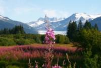 Glacier in Juneau, Alaska