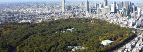 Aerial view of Meiji jingu