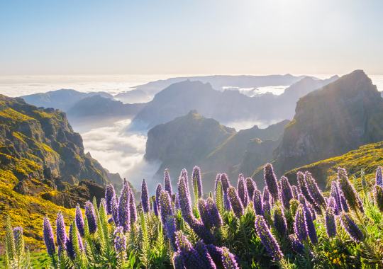 Madeira