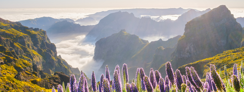 Madeira